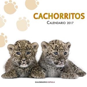 CALENDARIO 2017 CACHORRITOS | 9788448022617 | AA. VV. | Llibreria Drac - Librería de Olot | Comprar libros en catalán y castellano online