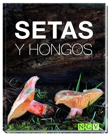 SETAS Y HONGOS | 9783869417776 | KOTHE, HANS W. | Llibreria Drac - Librería de Olot | Comprar libros en catalán y castellano online