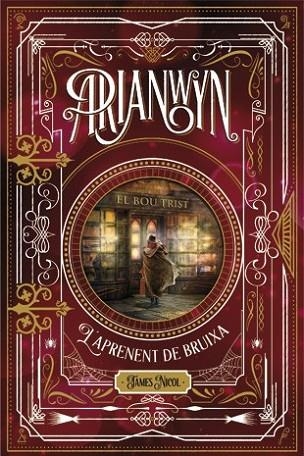 ARIANWYN, L'APRENENT DE BRUIXA | 9788424658694 | NICOL, JAMES | Llibreria Drac - Librería de Olot | Comprar libros en catalán y castellano online