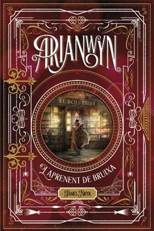 ARIANWYN, L'APRENENT DE BRUIXA | 9788424658694 | NICOL, JAMES | Llibreria Drac - Llibreria d'Olot | Comprar llibres en català i castellà online