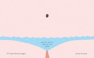 SENSE CALCETES AL CALAIX | 9788416670031 | SÁNCHEZ, MARÍA ISABEL | Llibreria Drac - Librería de Olot | Comprar libros en catalán y castellano online