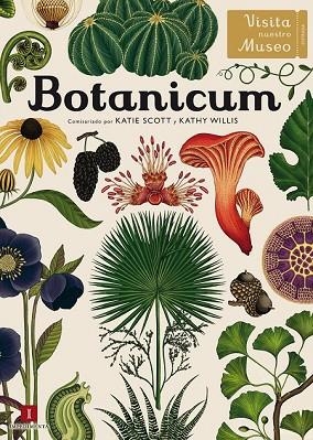 BOTANICUM (CAST) | 9788416542437 | WILLIS, KATHY | Llibreria Drac - Librería de Olot | Comprar libros en catalán y castellano online