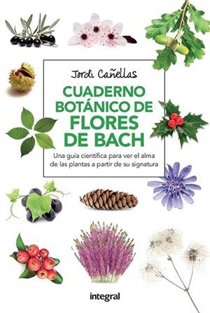 CUADERNO BOTANICO FLORES DE BACH 2ª ED. | 9788491180579 | CANELLAS, JORDI | Llibreria Drac - Librería de Olot | Comprar libros en catalán y castellano online