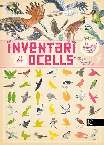 INVENTARI IL.LUSTRAT DELS OCELLS | 9788416721054 | ALADJIDI, VIRGINIE | Llibreria Drac - Llibreria d'Olot | Comprar llibres en català i castellà online