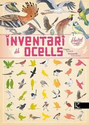 INVENTARI IL.LUSTRAT DELS OCELLS | 9788416721054 | ALADJIDI, VIRGINIE | Llibreria Drac - Llibreria d'Olot | Comprar llibres en català i castellà online