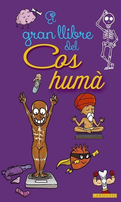 GRAN LLIBRE DEL COS HUMÀ, EL | 9788416641468 | AA.DD. | Llibreria Drac - Llibreria d'Olot | Comprar llibres en català i castellà online