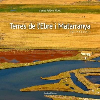 TERRES DE L'EBRE I MATARRANYA | 9788490345467 | PELLICER, VICENT | Llibreria Drac - Librería de Olot | Comprar libros en catalán y castellano online