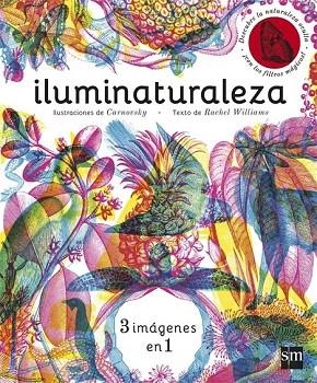 ILUMINATURALEZA | 9788467589955 | WILLIAMS, RACHEL; CARNOVSKY | Llibreria Drac - Librería de Olot | Comprar libros en catalán y castellano online