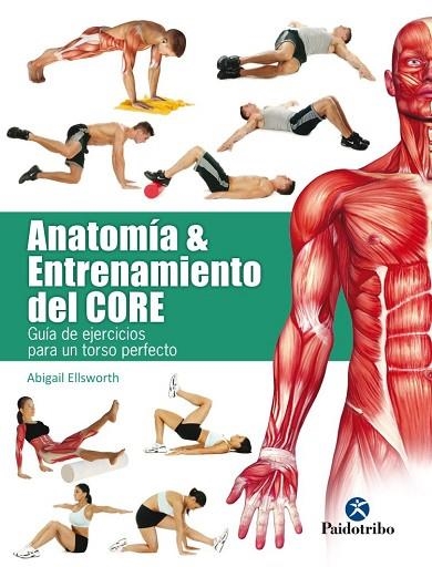 ANATOMÍA & ENTRENAMIENTO DEL CORE  | 9788499106069 | ELLSWORTH, ABIGAIL | Llibreria Drac - Llibreria d'Olot | Comprar llibres en català i castellà online