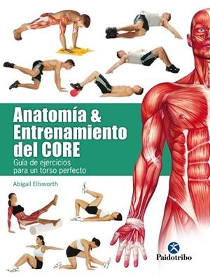 ANATOMÍA & ENTRENAMIENTO DEL CORE  | 9788499106069 | ELLSWORTH, ABIGAIL | Llibreria Drac - Librería de Olot | Comprar libros en catalán y castellano online