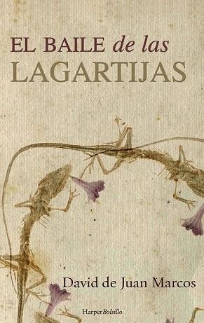 BAILE DE LAS LAGARTIJAS, EL | 9788491390473 | DE JUAN, DAVID | Llibreria Drac - Librería de Olot | Comprar libros en catalán y castellano online