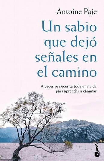 SABIO QUE DEJÓ SEÑALES EN EL CAMINO, UN | 9788408166382 | PAJE, ANTOINE | Llibreria Drac - Librería de Olot | Comprar libros en catalán y castellano online