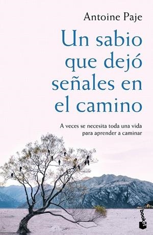 SABIO QUE DEJÓ SEÑALES EN EL CAMINO, UN | 9788408166382 | PAJE, ANTOINE | Llibreria Drac - Llibreria d'Olot | Comprar llibres en català i castellà online