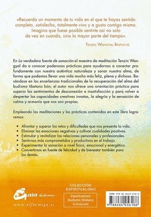 VERDADERA FUENTE DE SANACIÓN, LA | 9788484456186 | TENZIN WANGYAL RINPOCHE | Llibreria Drac - Llibreria d'Olot | Comprar llibres en català i castellà online