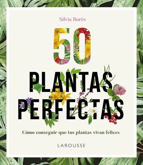 50 PLANTAS PERFECTAS | 9788416641840 | BURÉS, SILVIA | Llibreria Drac - Librería de Olot | Comprar libros en catalán y castellano online