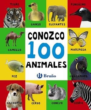 CONOZCO 100 ANIMALES | 9788469606452 | DD.AA. | Llibreria Drac - Librería de Olot | Comprar libros en catalán y castellano online
