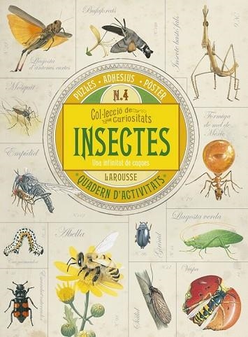 INSECTES (COL·LECCIÓ DE CURIOSITATS) | 9788416641734 | LAROUSSE EDITORIAL | Llibreria Drac - Llibreria d'Olot | Comprar llibres en català i castellà online