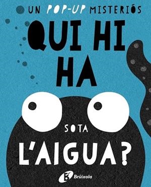 QUI HI HA SOTA L'AIGUA? (UN POP-UP MISTERIOS) | 9788499067667 | AA.DD. | Llibreria Drac - Librería de Olot | Comprar libros en catalán y castellano online