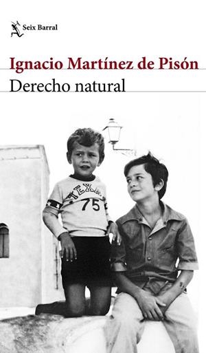 DERECHO NATURAL | 9788432232220 | MARTÍNEZ DE PISÓN, IGNACIO | Llibreria Drac - Librería de Olot | Comprar libros en catalán y castellano online