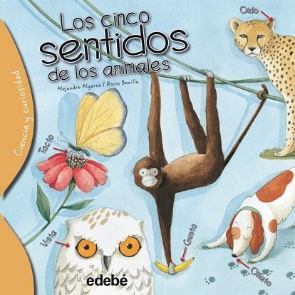 CINC SENTITS DELS ANIMALS, ELS (CIÈNCIA I CURIOSITAT) | 9788468329635 | ALGARRA, ALEJANDRO / BONILLA, ROCIO | Llibreria Drac - Librería de Olot | Comprar libros en catalán y castellano online