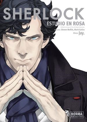 SHERLOCK: ESTUDIO EN ROSA | 9788467926583 | JAY / MOFFAT/ GATISS | Llibreria Drac - Llibreria d'Olot | Comprar llibres en català i castellà online