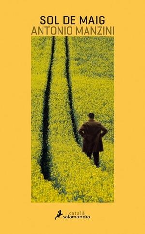 SOL DE MAIG | 9788416310227 | MANZINI, ANTONIO | Llibreria Drac - Librería de Olot | Comprar libros en catalán y castellano online