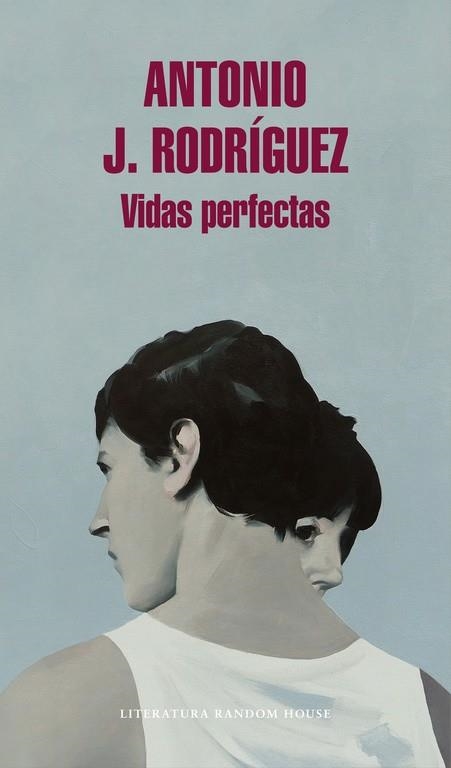 VIDAS PERFECTAS | 9788439732891 | RODRÍGUEZ, ANTONIO J. | Llibreria Drac - Librería de Olot | Comprar libros en catalán y castellano online