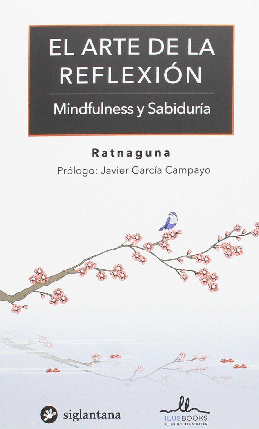 ARTE DE LA REFLEXION, EL | 9788416574353 | ROTNAGUNA | Llibreria Drac - Librería de Olot | Comprar libros en catalán y castellano online