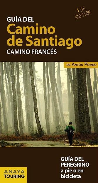 GUÍA DEL CAMINO DE SANTIAGO 2017. CAMINO FRANCÉS | 9788499358420 | VV.AA. | Llibreria Drac - Librería de Olot | Comprar libros en catalán y castellano online