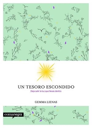UN TESORO ESCONDIDO | 9788416605354 | LIENAS, GEMMA | Llibreria Drac - Llibreria d'Olot | Comprar llibres en català i castellà online