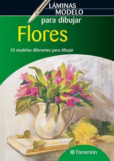 LAMINAS MODELO PARA DIBUJAR FLORES | 9788434236585 | AA.DD. | Llibreria Drac - Librería de Olot | Comprar libros en catalán y castellano online