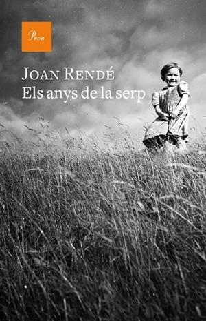 ANYS DE LA SERP, ELS | 9788475886855 | RENDÉ, JOAN | Llibreria Drac - Llibreria d'Olot | Comprar llibres en català i castellà online
