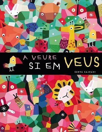 A VEURE SI EM VEUS | 9788424661007 | SAJNANI, SURYA | Llibreria Drac - Llibreria d'Olot | Comprar llibres en català i castellà online