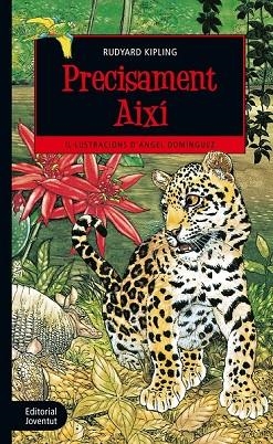 PRECISAMENT AIXÍ | 9788426144539 | KIPLING, RUDYARD | Llibreria Drac - Llibreria d'Olot | Comprar llibres en català i castellà online
