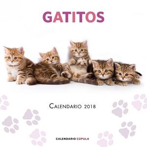 CALENDARIO GATITOS 2018 | 9788448023454 | AA.DD. | Llibreria Drac - Librería de Olot | Comprar libros en catalán y castellano online