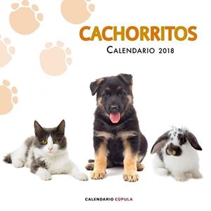 CALENDARIO CACHORRITOS 2018 | 9788448023478 | AA.DD. | Llibreria Drac - Librería de Olot | Comprar libros en catalán y castellano online
