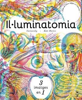 IL·LUMINATOMIA | 9788466143240 | CARNOVSKY; DAVIES, KATE | Llibreria Drac - Llibreria d'Olot | Comprar llibres en català i castellà online