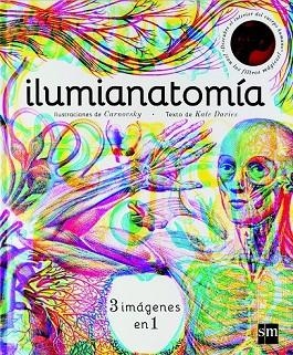 ILUMIANATOMIA | 9788467594201 | DAVIES, KATE | Llibreria Drac - Llibreria d'Olot | Comprar llibres en català i castellà online