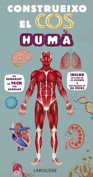 CONSTRUEIXO EL COS HUMÀ | 9788416984107 | LAROUSSE EDITORIAL | Llibreria Drac - Librería de Olot | Comprar libros en catalán y castellano online