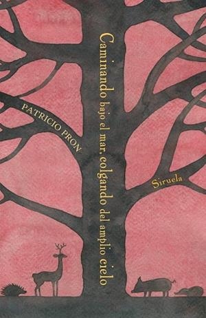 CAMINANDO BAJO EL MAR, COLGANDO DEL AMPLIO CIELO | 9788417151355 | PRON, PATRICIO | Llibreria Drac - Librería de Olot | Comprar libros en catalán y castellano online