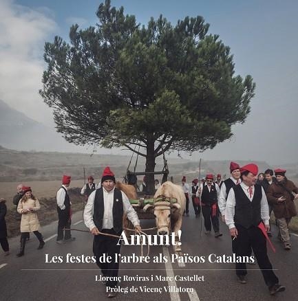 AMUNT: LES FESTES DE L'ARBRE ALS PAISOS CATALANS | 9788494748400 | ROVIRAS, LLORENÇ | Llibreria Drac - Librería de Olot | Comprar libros en catalán y castellano online