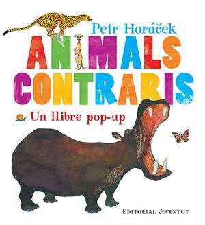 ANIMALS CONTRARIS ( LLIBRE POP UP) | 9788426139573 | HORACECK, PETR | Llibreria Drac - Llibreria d'Olot | Comprar llibres en català i castellà online