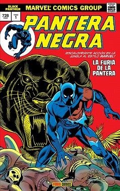 PANTERA NEGRA 1. LA FURIA DE LA PANTERA | 9788491672852 | KIRBY, JACK; BUCKLER, RICH; HANNIGAN, ED; MCGREGOR, DON | Llibreria Drac - Librería de Olot | Comprar libros en catalán y castellano online