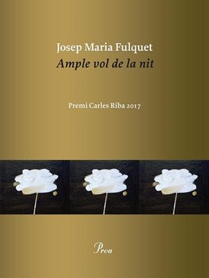 AMPLE VOL DE LA NIT | 9788475887036 | FULQUET, JOSEP MARIA | Llibreria Drac - Llibreria d'Olot | Comprar llibres en català i castellà online