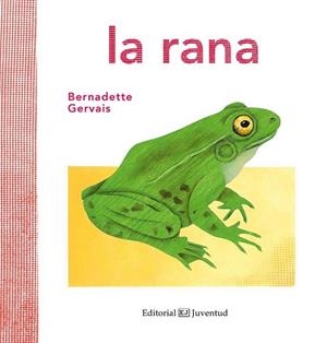RANA, LA | 9788426144584 | GERVAIS, BERNADETTE | Llibreria Drac - Llibreria d'Olot | Comprar llibres en català i castellà online