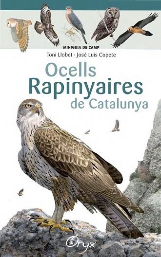 OCELLS RAPINYAIRES DE CATALUNYA | 9788490346785 | LLOBET, TONI; COPETE, JOSÉ LUIS | Llibreria Drac - Librería de Olot | Comprar libros en catalán y castellano online