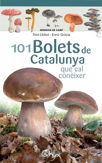 101 BOLETS DE CATALUNYA QUE CAL CONEIXER | 9788490347096 | LLOBET, TONI; GRÀCIA, ENRIC | Llibreria Drac - Librería de Olot | Comprar libros en catalán y castellano online