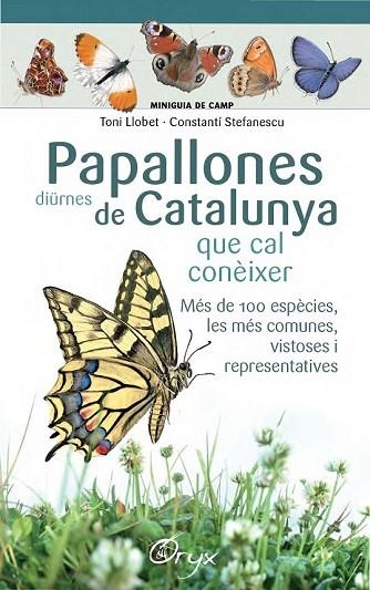 PAPALLONES DIÜRNES DE CATALUNYA QUE CAL CONEIXER | 9788490346754 | LLOBET, TONI; STEFANESCU, CONSTANTÍ | Llibreria Drac - Librería de Olot | Comprar libros en catalán y castellano online