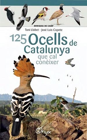 125 OCELLS DE CATALUNYA QUE CAL CONEIXER | 9788490346747 | LLOBET, TONI; COPETE, JOSÉ LUIS | Llibreria Drac - Llibreria d'Olot | Comprar llibres en català i castellà online