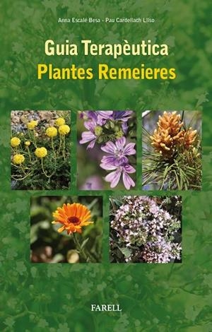 GUIA TERAPEUTICA PLANTES REMEIERES | 9788492811984 | ESCALE, ANNA | Llibreria Drac - Llibreria d'Olot | Comprar llibres en català i castellà online